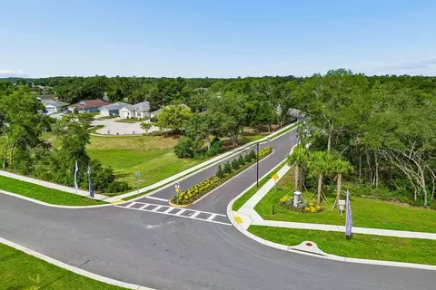 View/Area - 13718 Chestnut Ridge Dr, Hudson, FL 34669 photo 5 of 16