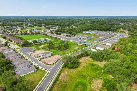 View/Area - 13718 Chestnut Ridge Dr, Hudson, FL 34669 photo 7 of 16