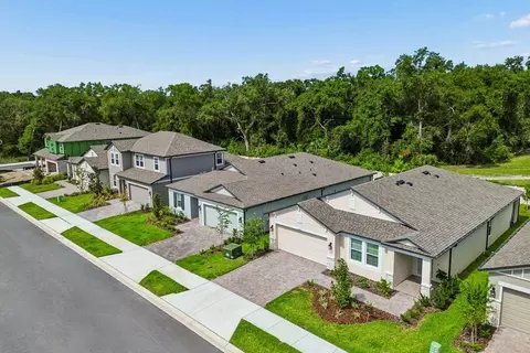 View/Area - 13718 Chestnut Ridge Dr, Hudson, FL 34669 photo 14 of 16