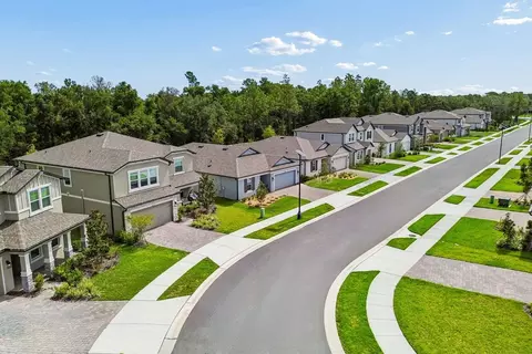View/Area - 13718 Chestnut Ridge Dr, Hudson, FL 34669 photo 12 of 16
