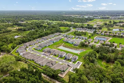 View/Area - 13718 Chestnut Ridge Dr, Hudson, FL 34669 photo 6 of 16