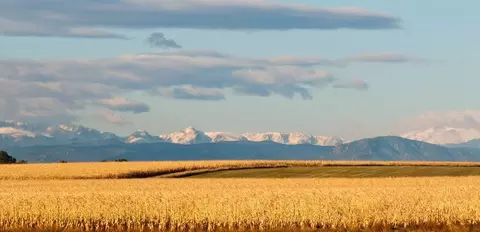 46570 Gold Prairie Dr, Bennett, CO 80102
