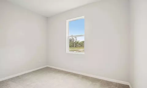 Bedroom - 10160 Hidden Hammock Loop, Parrish, FL 34219 photo 1 of 7