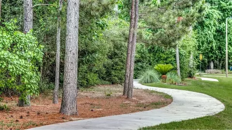 21813 Jedediah River Way, Porter, TX 77365