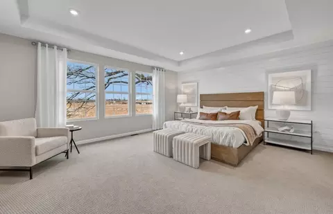 Bedroom - 12823 S Vicarage Dr, Plainfield, IL 60585 photo 1 of 7