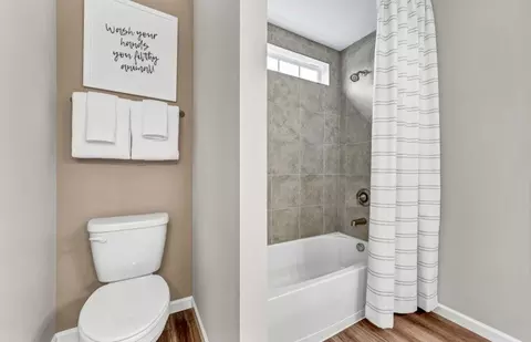 Bath - 12823 S Vicarage Dr, Plainfield, IL 60585 photo 5 of 6