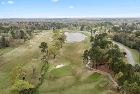 View/Area - 792 Camden Loop, Calera, AL 35040 photo 4 of 4