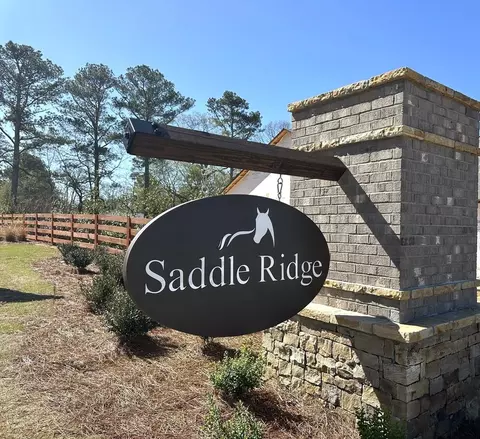 Other - 241 Shire Loop, Calhoun, GA 30701 photo 7 of 16