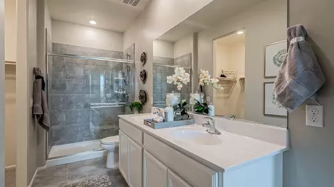 Bath - 8183 S Charles Young Way, Vail, AZ 85641 photo 3 of 5