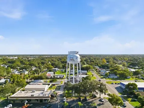 View/Area - 1754 Satilla Ave, Saint Cloud, FL 34771 photo 11 of 15