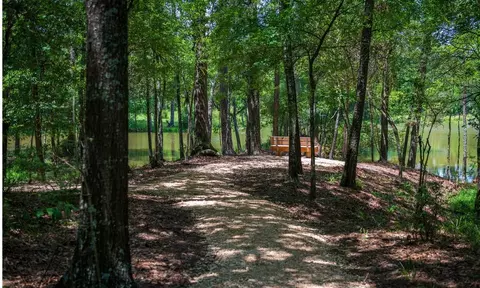 Other - 10245 Blanchard Ct, Willis, TX 77318 photo 7 of 7