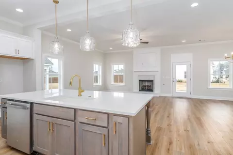Living - 16 Bristlecone Trl, Harris County, GA 31808 photo 1 of 3