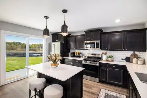 Kitchen - Steven Parkway, Mount Morris, MI 48458 photo 6 of 6