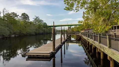 View/Area - 559 Gemstone Blvd, Conway, SC 29526 photo 5 of 7