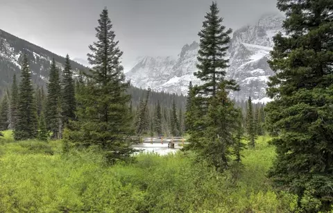 Other - 428 Needlegrass Ln, Kalispell, MT 59901 photo 9 of 12