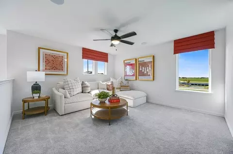 Other - 2928 Olympic Dr, Anna, TX 75409 photo 17 of 20