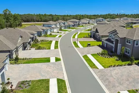 View/Area - 2528 Clary Sage Dr, Spring Hill, FL 34609 photo 9 of 12