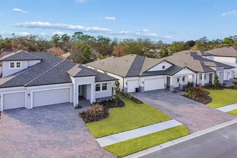 View/Area - 2528 Clary Sage Dr, Spring Hill, FL 34609 photo 10 of 12