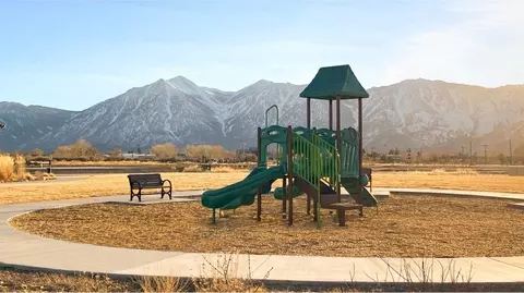 Other - 1142 Dapple Dr, Minden, NV 89423 photo 7 of 10