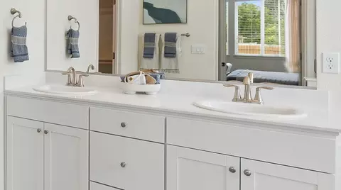 Bath - 1142 Dapple Dr, Minden, NV 89423 photo 4 of 4