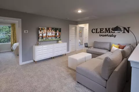 Entry Way - 501 Stone Pine Dr, Pendleton, SC 29670 photo 2 of 2