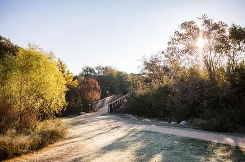 907 Walsh Glen Dr, Cedar Park, TX 78613 photo 9
