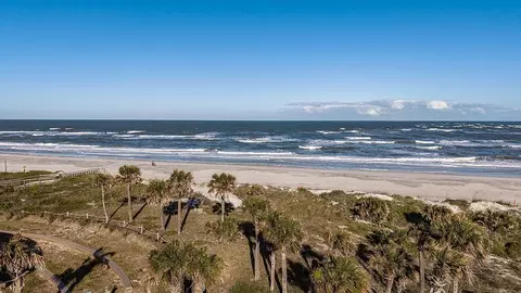 View/Area - 196 Cherry Elm Dr, Saint Augustine, FL 32092 photo 10 of 33