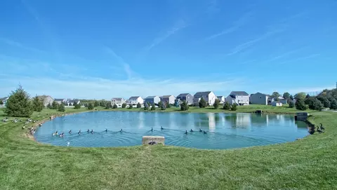 View/Area - 3755 Shellhart Rd, Norton, OH 44203 photo 2 of 2