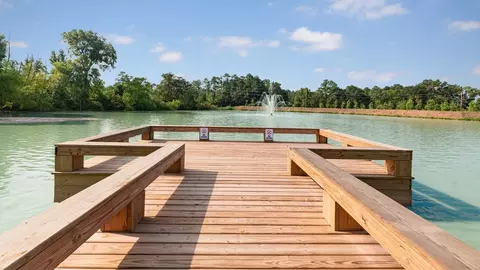View/Area - 9238 Crestone Peak Dr, Willis, TX 77318 photo 4 of 11