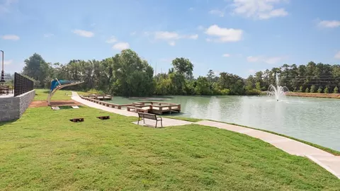View/Area - 9238 Crestone Peak Dr, Willis, TX 77318 photo 3 of 11