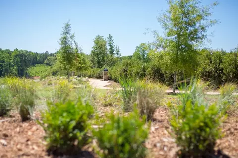 View/Area - 2026 Thatcher Way, Fort Mill, SC 29715 photo 10 of 11
