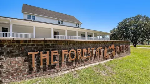 View/Area - 137 Bjorn Way, Longs, SC 29568 photo 3 of 7