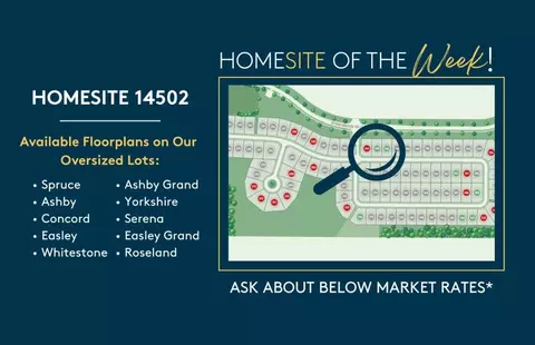 View/Area - 5305 Foothills Preserve Loop, Mount Dora, FL 32757 photo 1 of 3