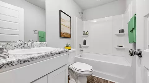 Bath - 365 Troubadour Ln, Jasper, AL 35501 photo 2 of 2
