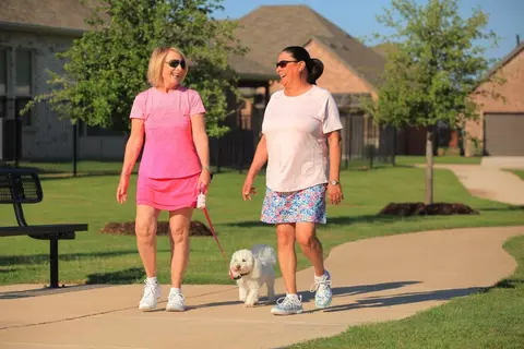 View/Area - 309 Palermo Dr, Justin, TX 76247 photo 5 of 5