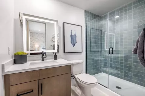Bath - 141 Starhaven, Irvine, CA 92618 photo 4 of 6