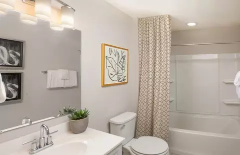 Bath - 12823 S Vicarage Dr, Plainfield, IL 60585 photo 2 of 3