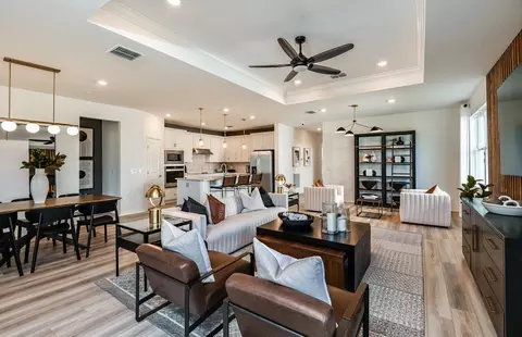 Living - 13716 Sunlight Meadow Dr, Riverview, FL 33578 photo 3 of 3