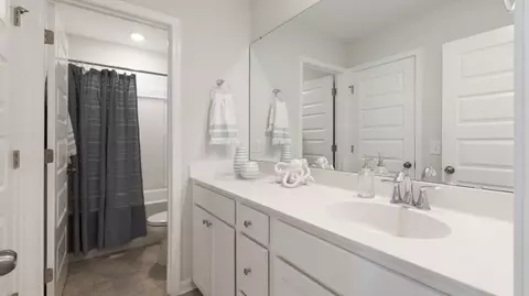 Bath - 357 Camellia Bloom Dr, Moncks Corner, SC 29461 photo 3 of 4