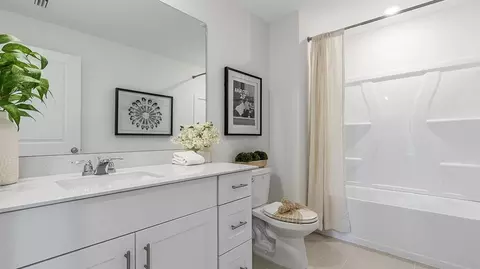 Bath - 3518 Ambersweet Xing, Parrish, FL 34219 photo 3 of 4