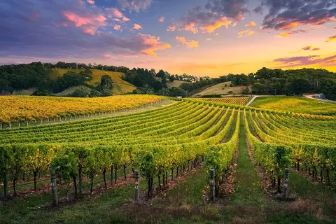 Other - 4529 Voltaire Dr, Cameron Park, CA 95682 photo 2 of 12