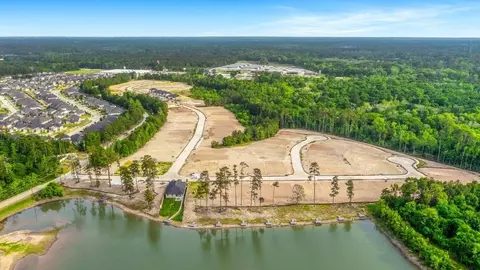 View/Area - 602 Paisley Harbor Ct, Conroe, TX 77304 photo 5 of 10