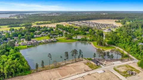 View/Area - 602 Paisley Harbor Ct, Conroe, TX 77304 photo 6 of 10