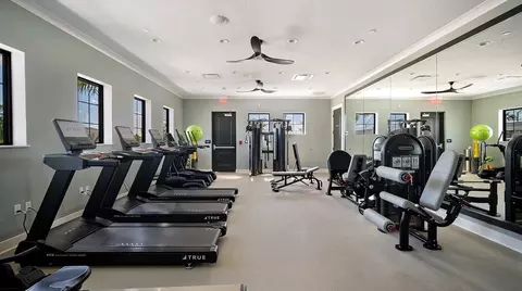 Other - 13533 Noble Garnet Ln, Parrish, FL 34219 photo 12 of 15