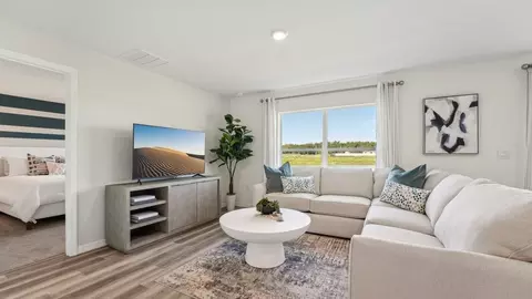 Other - 13610 Fenwick Stream Dr, Wimauma, FL 33598 photo 4 of 15