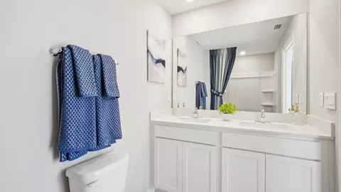 Bath - 13610 Fenwick Stream Dr, Wimauma, FL 33598 photo 5 of 5