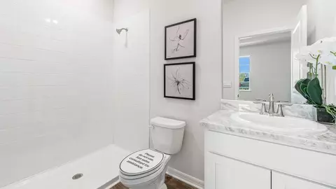 Bath - 17144 Legacy Preserve Dr, Parrish, FL 34219 photo 5 of 6