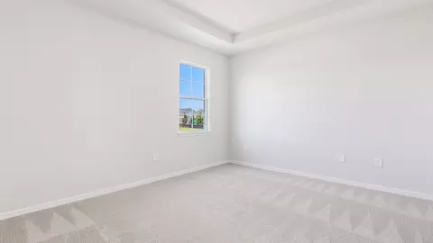 Bedroom - 17144 Legacy Preserve Dr, Parrish, FL 34219 photo 7 of 7