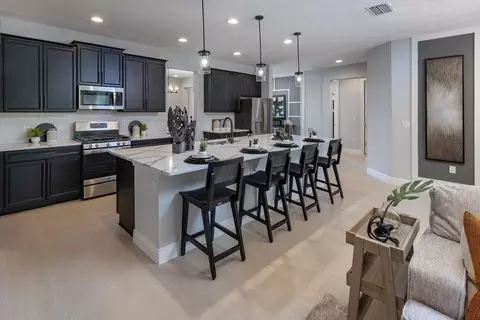 Kitchen - 5294 Obsidian Gate Dr, Mount Dora, FL 32757 photo 3 of 3