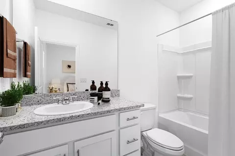 Bath - 2790 Armadale Dr, Mount Dora, FL 32757 photo 3 of 12
